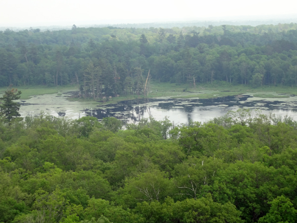 view from The top of the Aiton Heights Fire Tower 